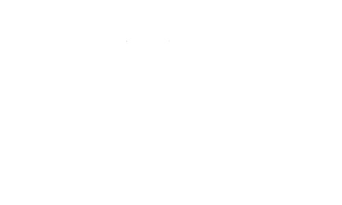 500 Nanómetros